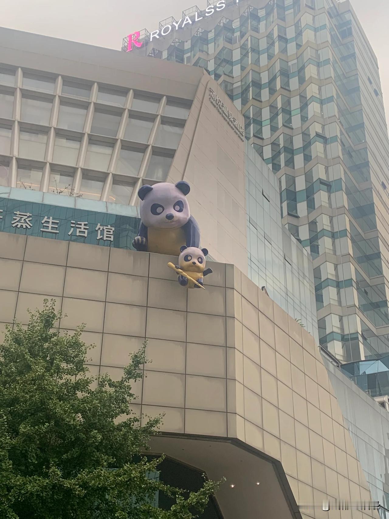 又到周五剧透下周天气的时候：秋天迟到，成都下周还是超30°C，但是几乎天天都有阵