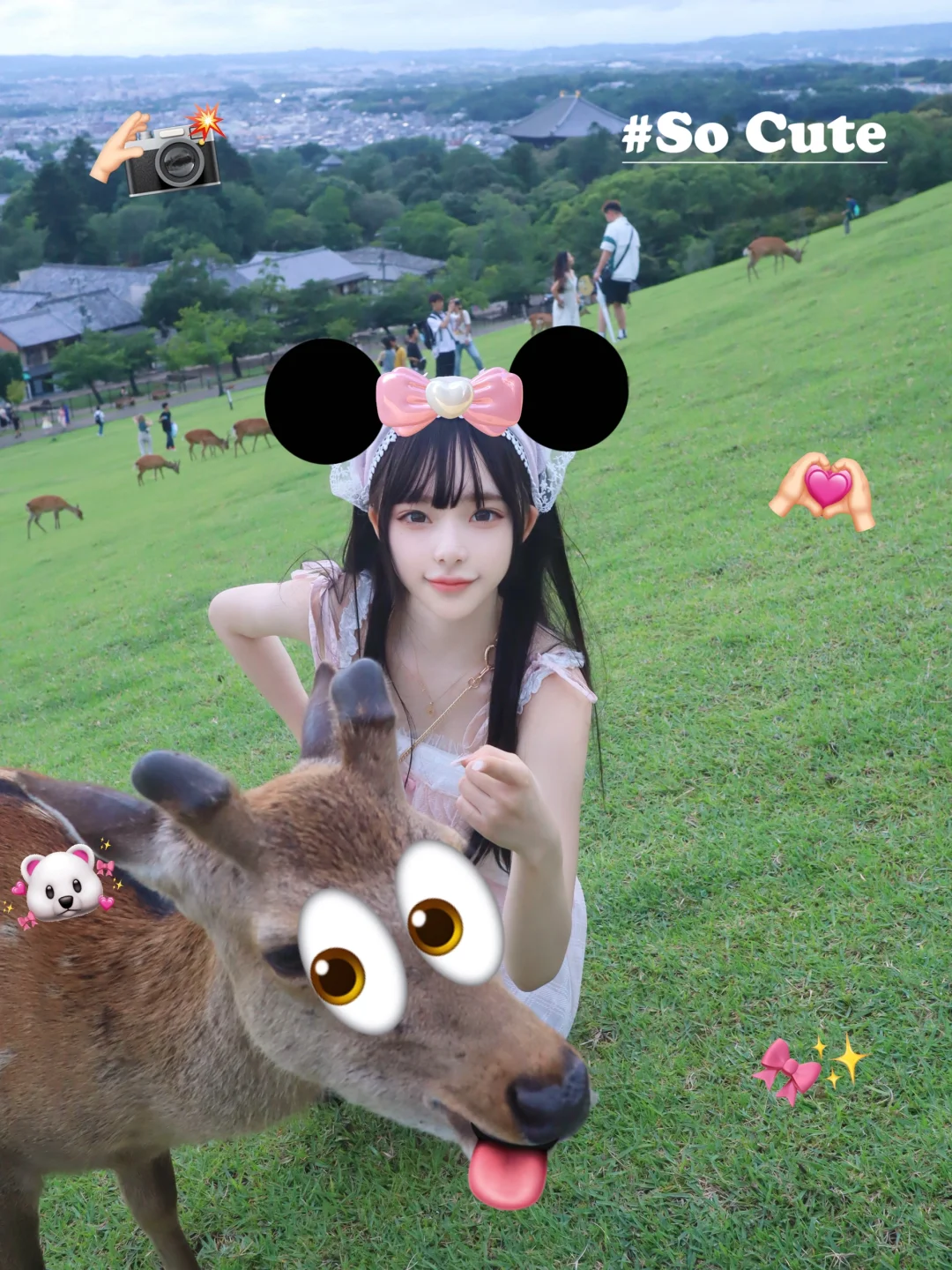 是什么让奈良超雄小鹿变得这么可爱！