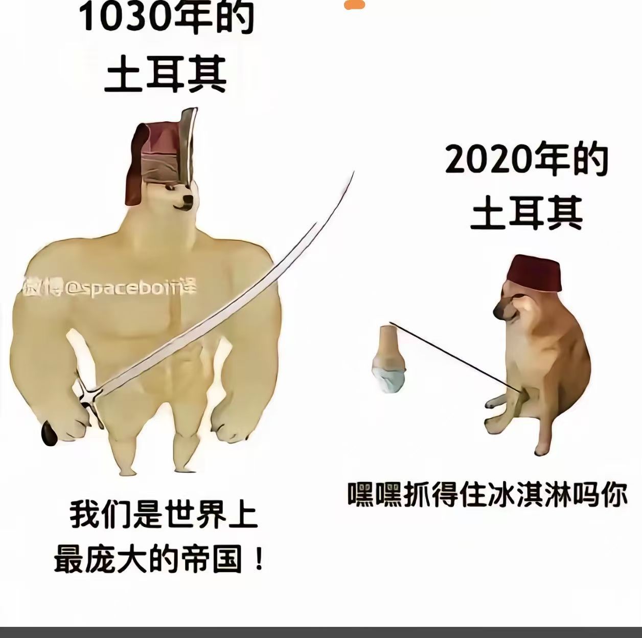 多国网友围观中土骂战这个图被热心网友翻译成土耳其语发在X上了，然后哈士奇们破防了