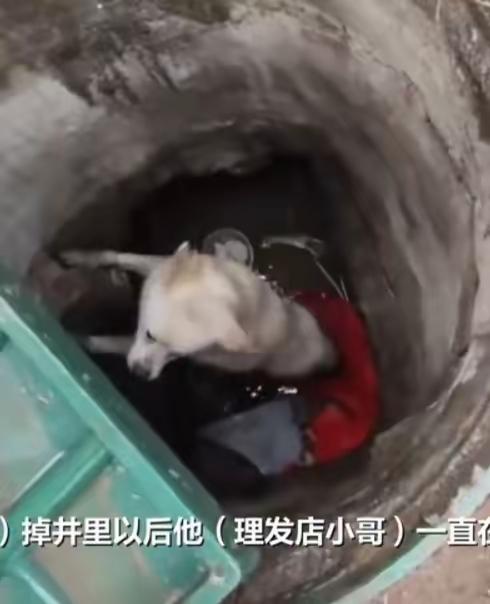 一只小狗在井下三年，不是三天，是整整三年！三年里，有爱心的人们，接力为小狗送了1