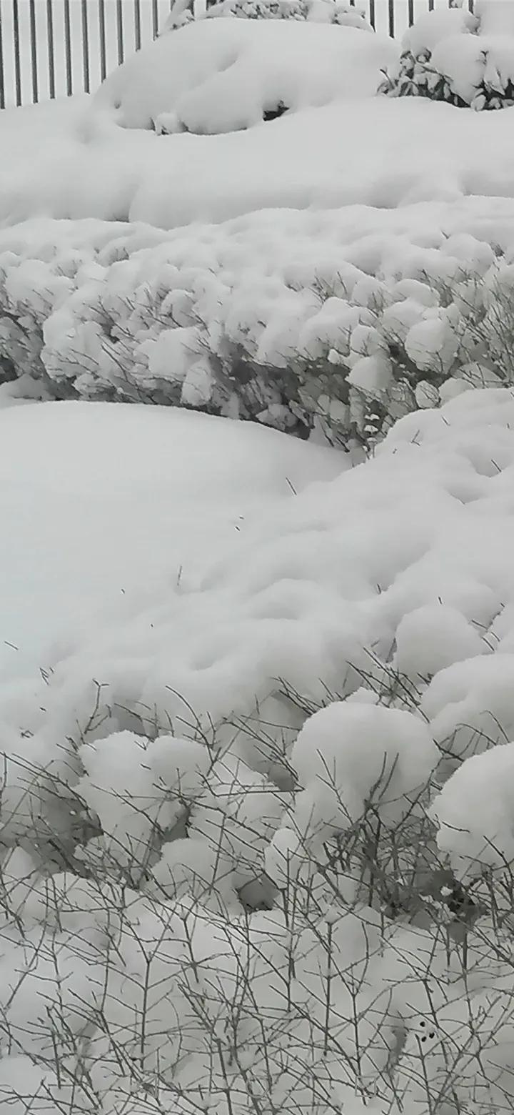 上联：大海无风千层浪，如何对下联下联：群山有雪万朵花。