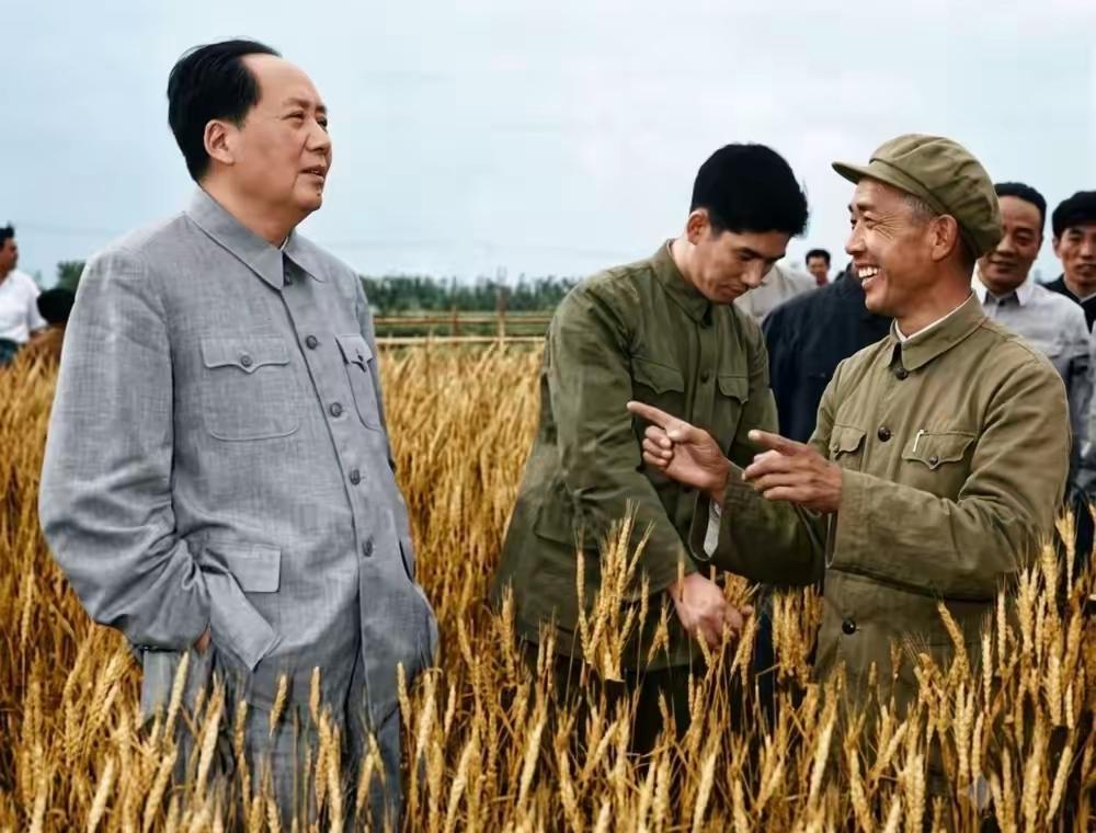 很多人总好奇，毛主席一辈子奔波操劳，心里到底装着什么？
从青年走出韶山开始，他心