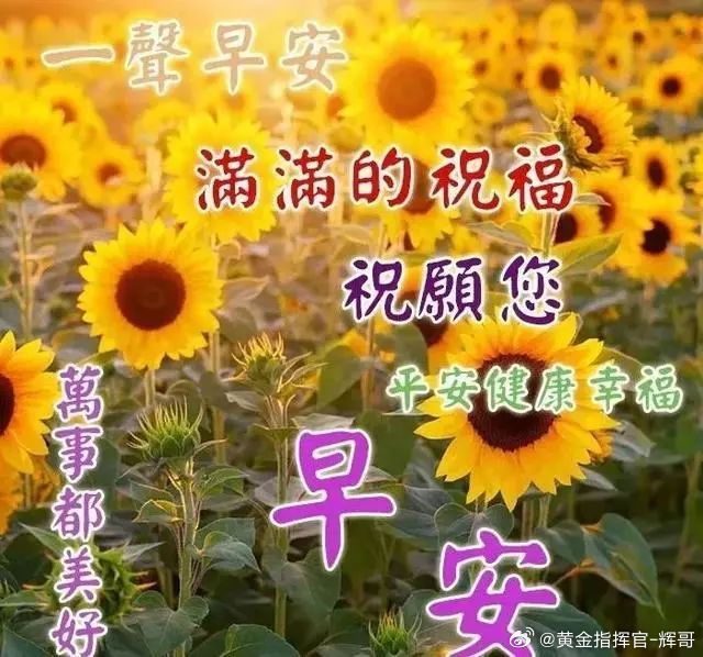 不是市场不适合，不是行情不给力，是站错了位置，走错了方向。换个思路，或许你会发现