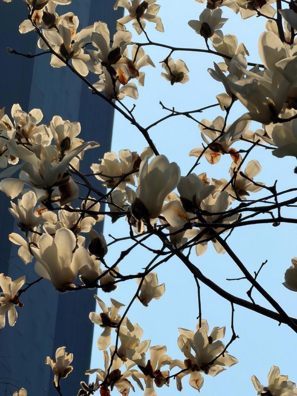 我做情感咨询这么多年，发现很多成年人活得特别“紧张”说错一句话觉得丢脸，发个朋友