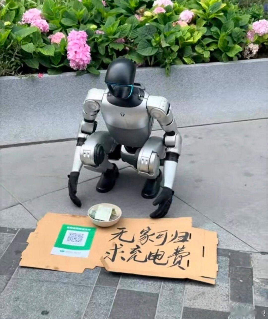 无家可归？直接收养不就行了