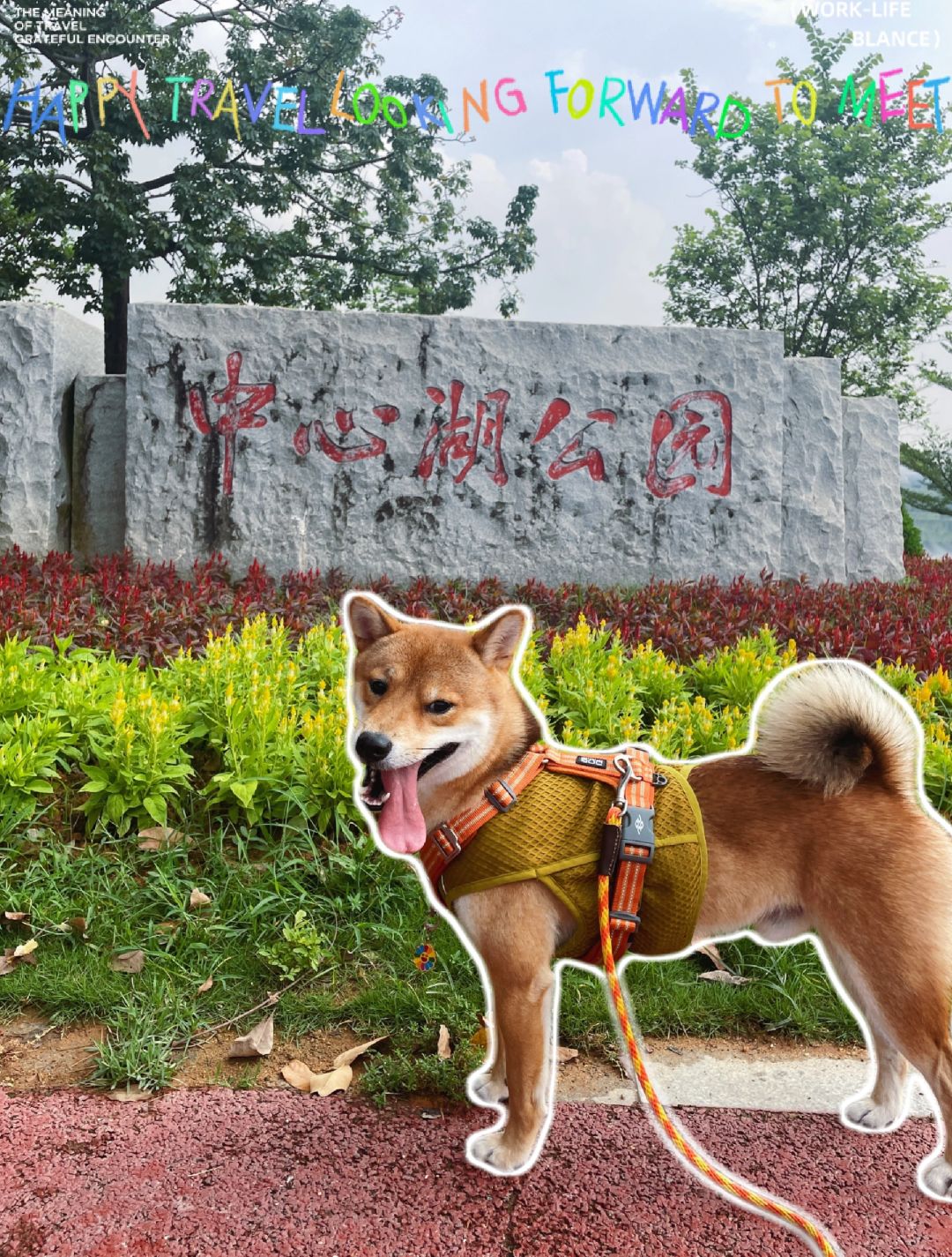 广州遛狗｜小众的中心湖公园