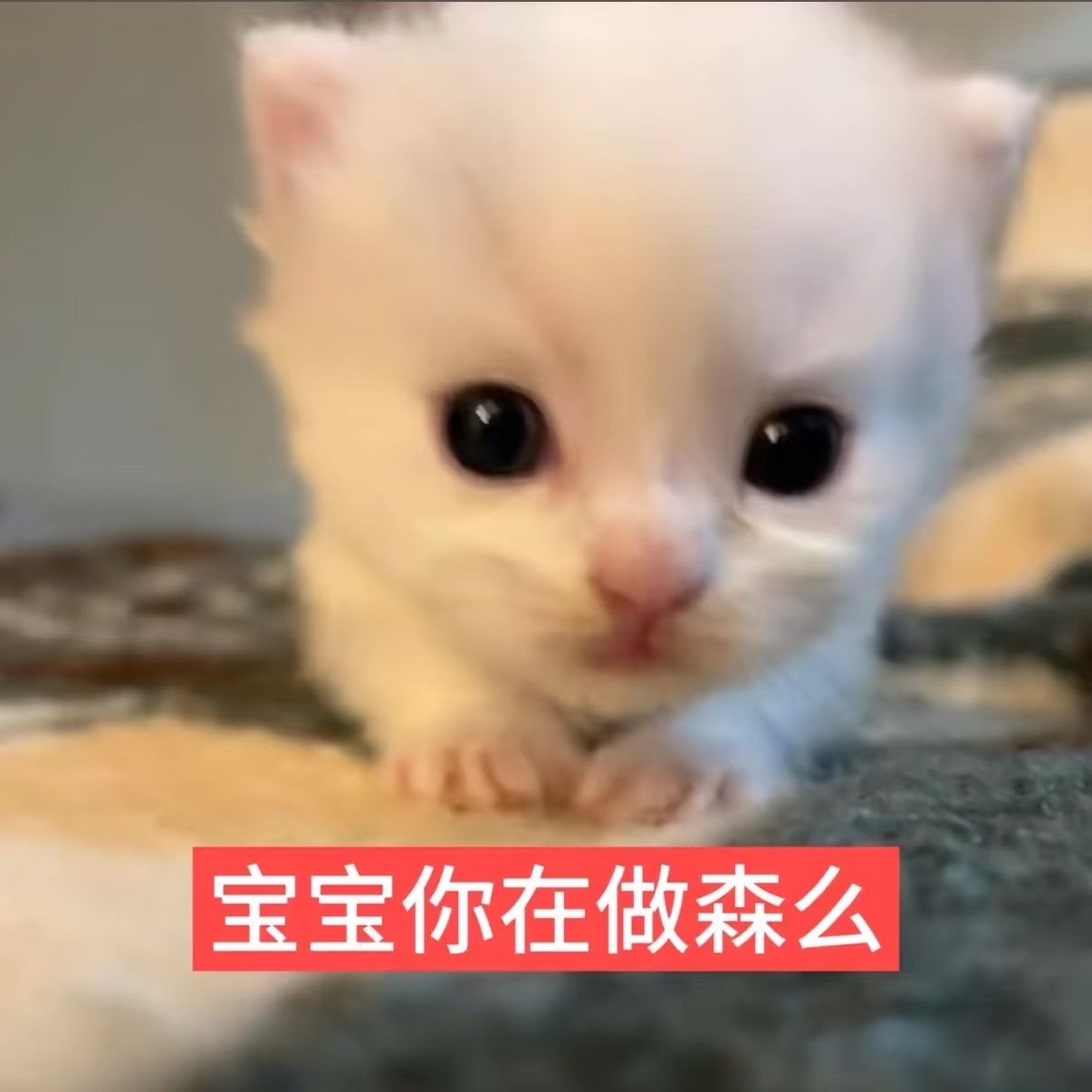 早上好( ⌯' '⌯)🌞我的天 感觉今年都没起的这么早过 