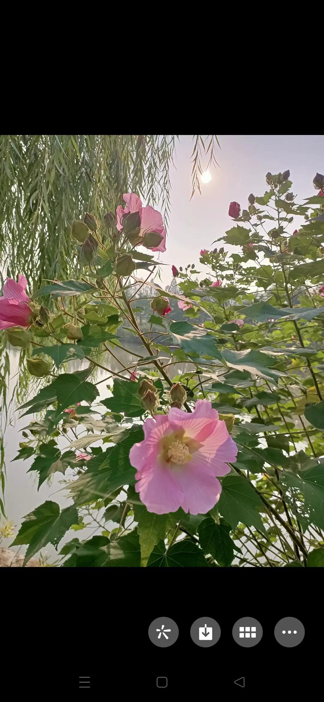 #晒出今天随手拍的美图#