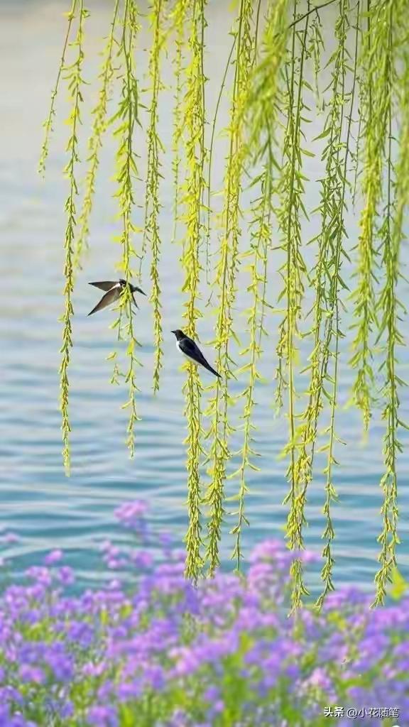 《岁月春生》
白发掩不住，
脱帽沐春风。
人生多换替，
老骥伏枥行！