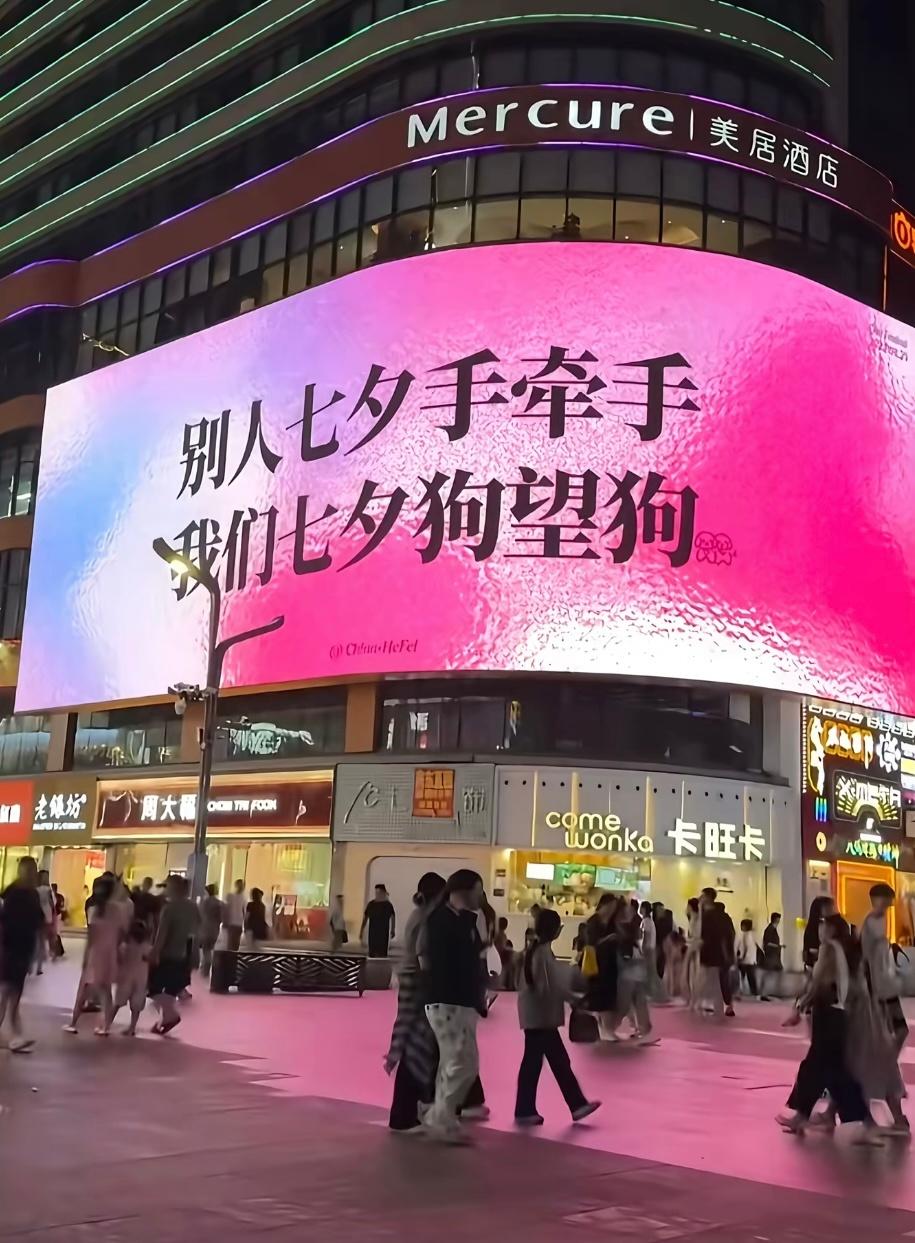 狗望狗 