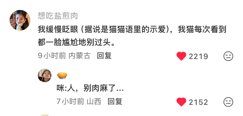原来缓慢眨眼睛对猫咪来说是示爱萌晕了 