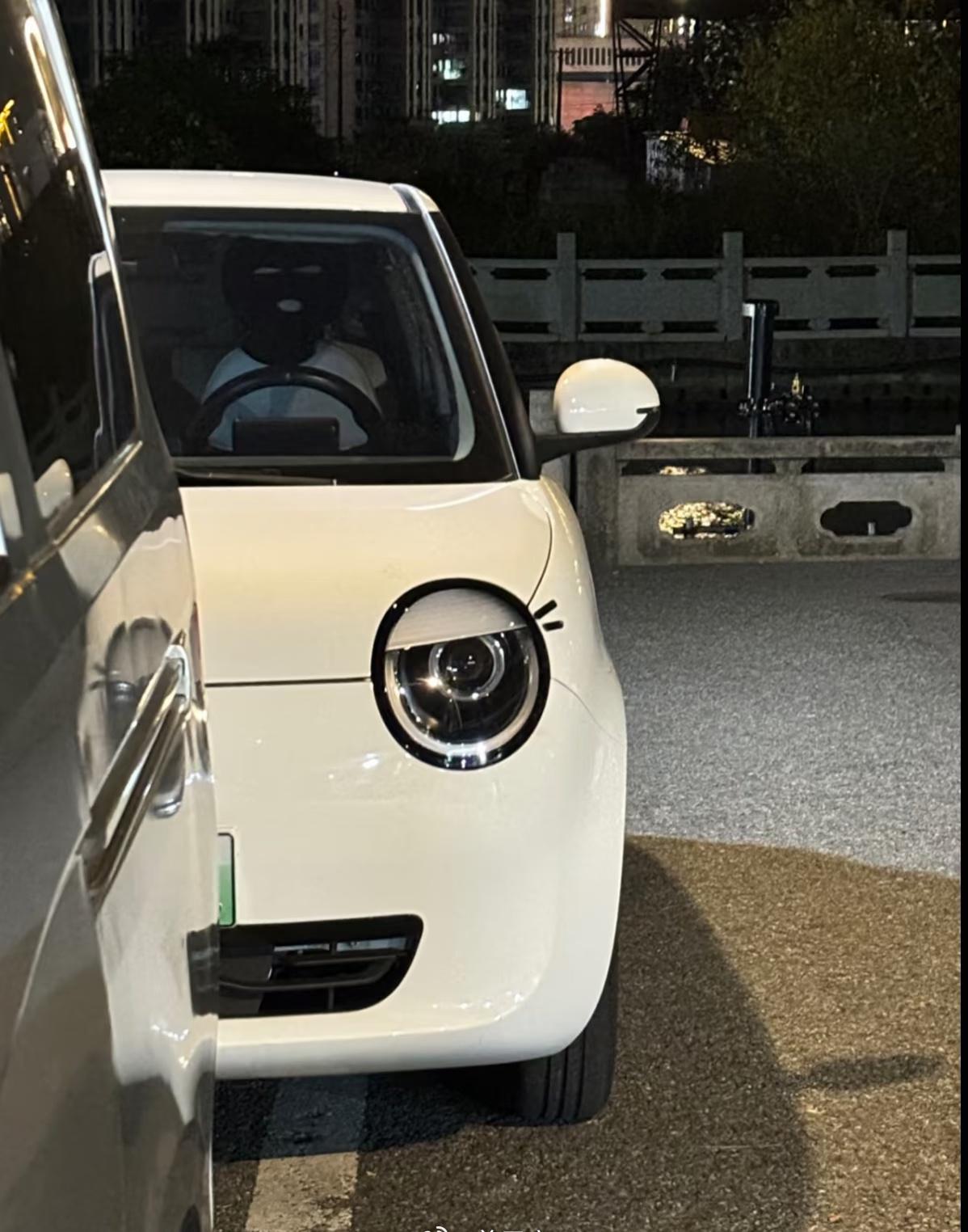 代步小车，家里有一辆就不会换了。

而且 40 万以上高端车型的使用场景跟剁椒鱼