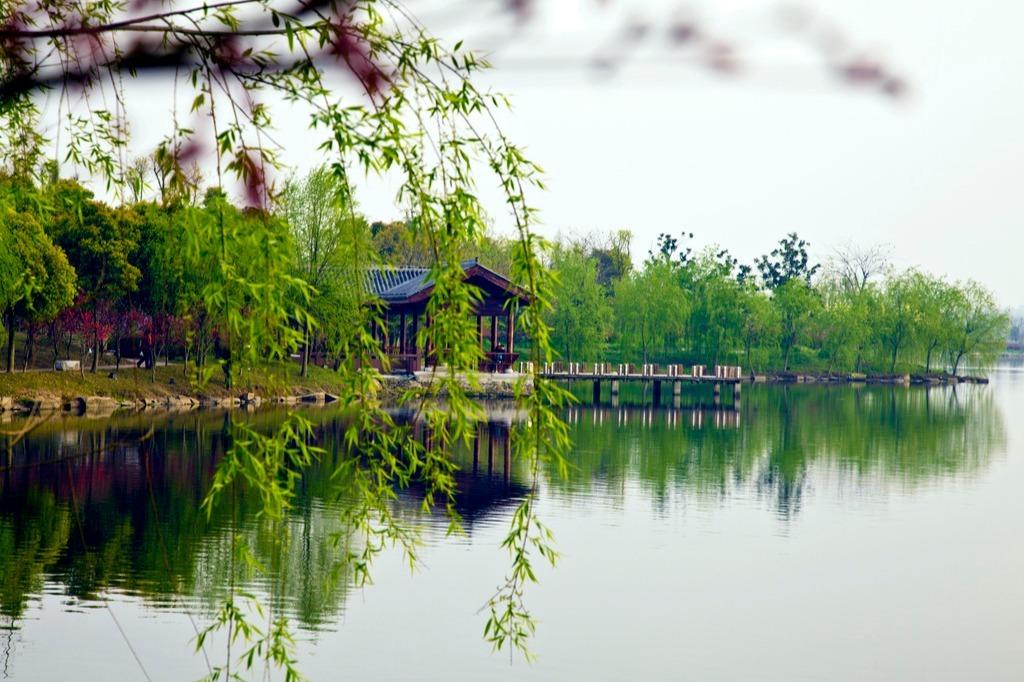 因为有了黄州，才有了苏东坡。#沅汰博物馆# 在黄州，朋友送了块地，这块地东边有个