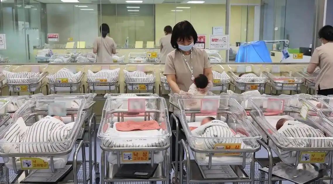 非常之事当用非常手段！ 韩国生育率连涨了22个月，用了什么手段？  

曾被联合