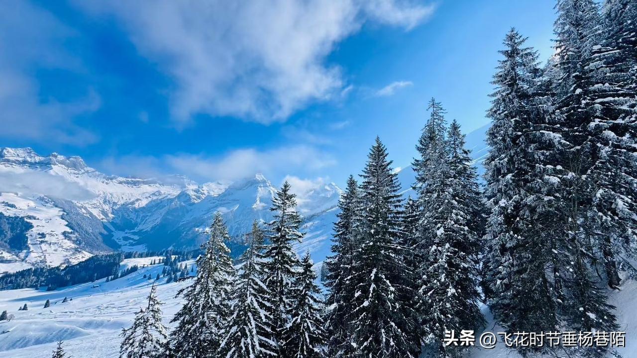 普通人一定要接受一个世界运行的残忍真相：99%的人可能一辈子都不会遇到发财的机会