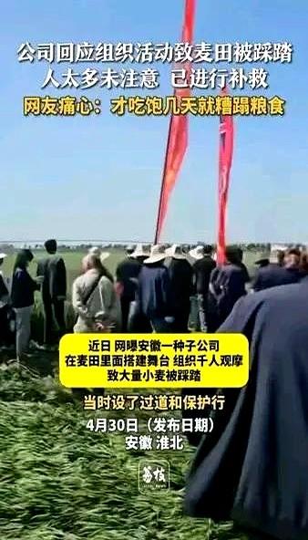 惊！

4月27日，安徽淮北的安徽鲁研种业公司为了一场所谓的宣传，直接把舞台搭进