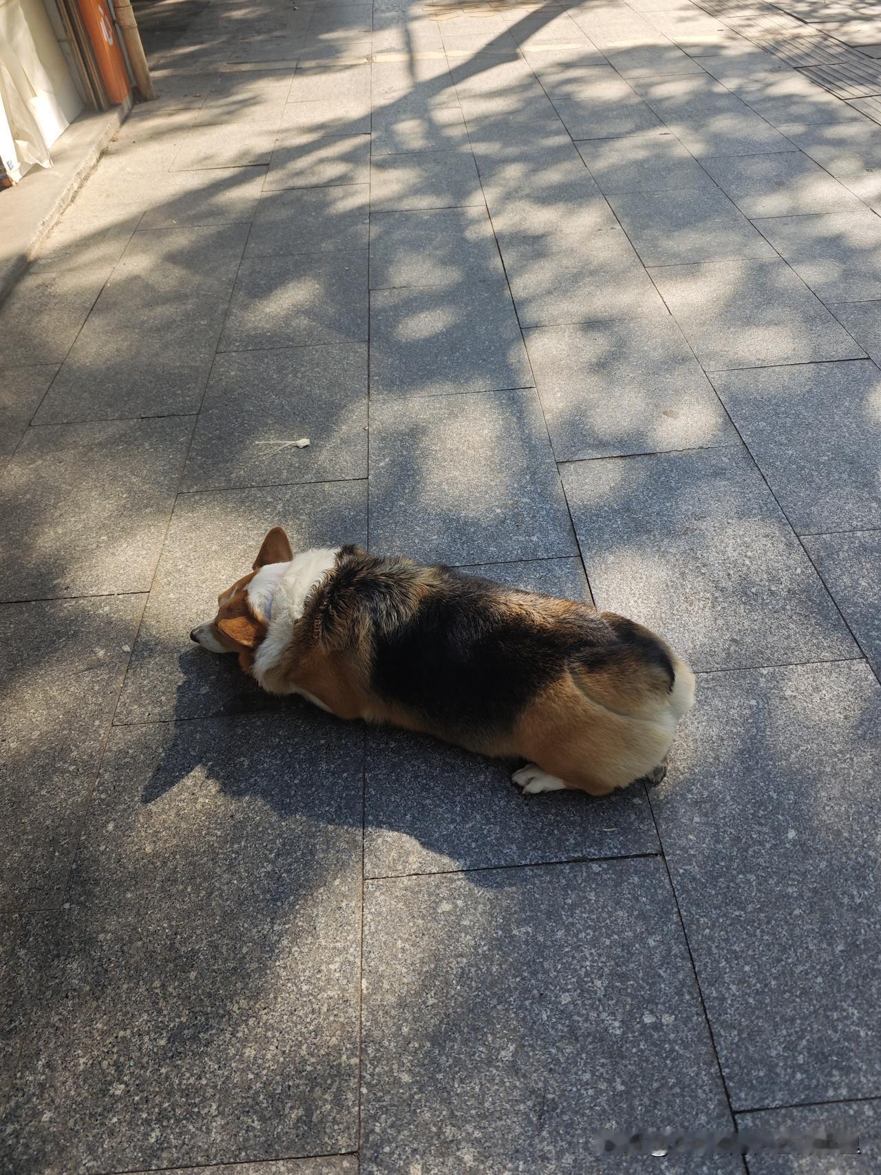 我初恋，我们五年，要结婚了，各种事情都开始对我冷处理，我想尽办法缓和关系都没用，