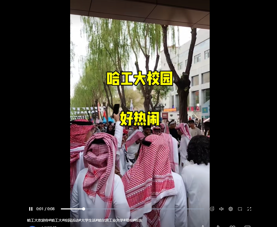 太热闹了 
