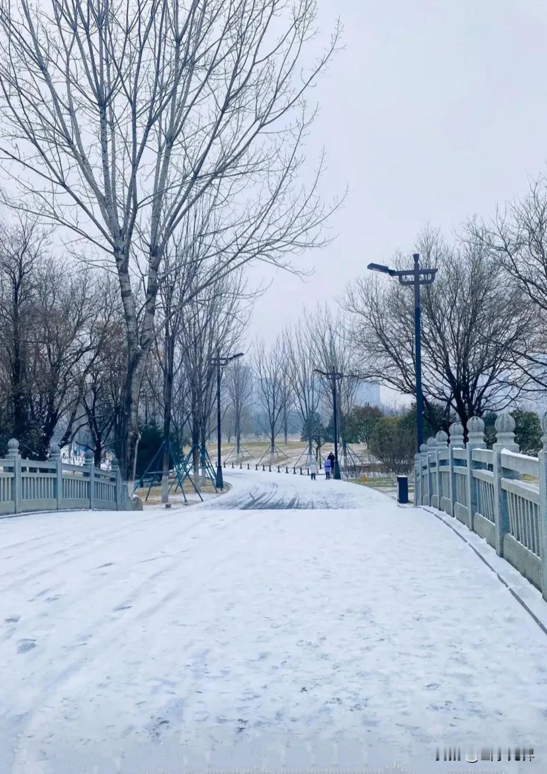 今天下午，我们豫北地区终于迎来了第一场小雪，虽然说小雪，下的不大，但总比不下强。