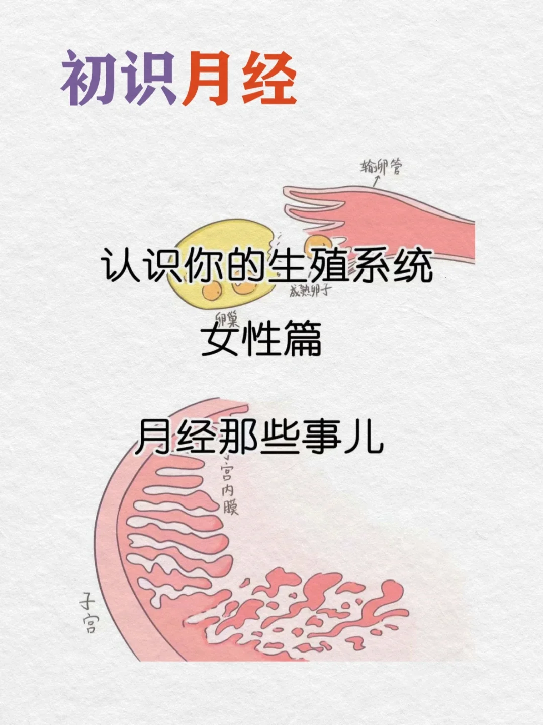 0基础学古中医18天｜月经痛经