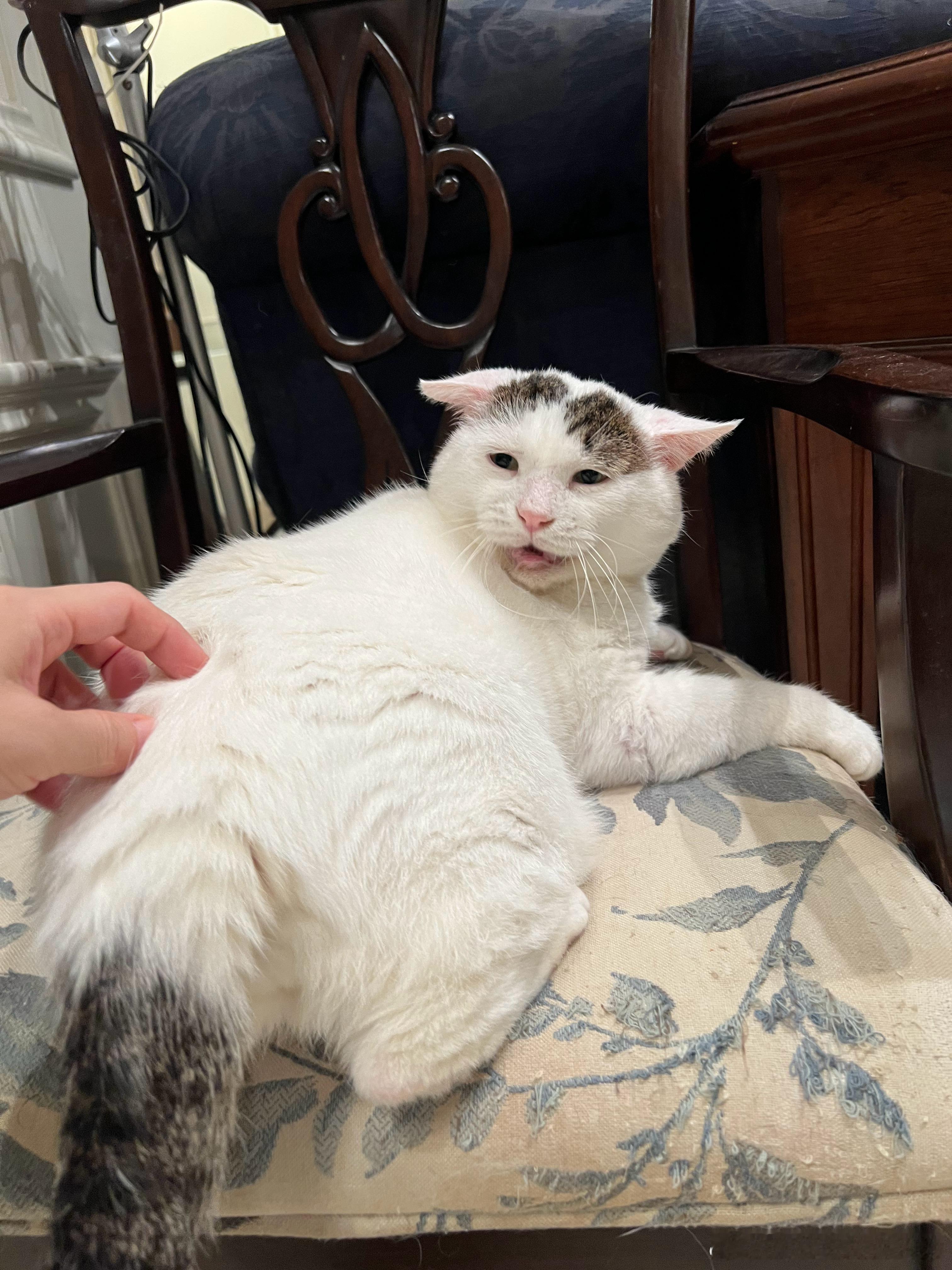 我叫猪崽别睡了，他生气了，还敢威胁要揍我！行行行！呼叫李葵了，马上到场，我倒要看