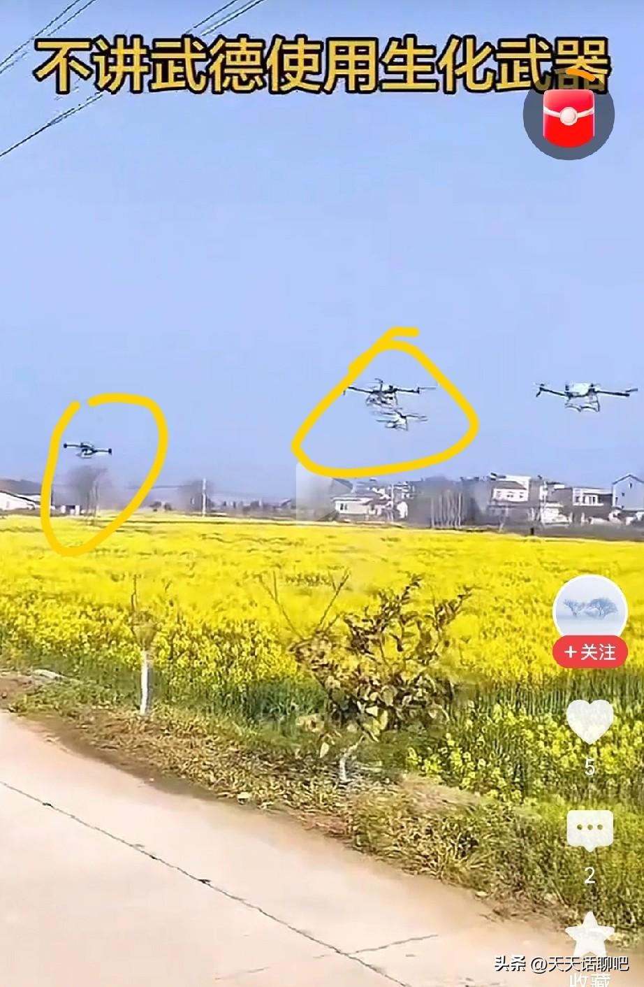 这几天油菜地被无故打药太多了，
都是在本家人不知道的情况下，
被外人偷偷摸摸的打