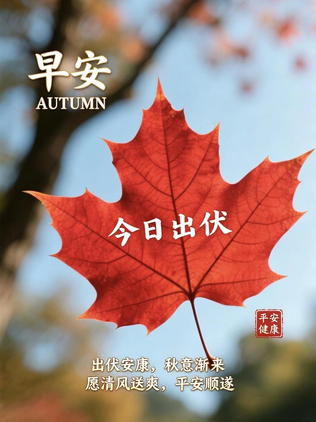 早安！今日正式出伏🌤️，漫长的三伏天终于画上句号，闷热渐渐消散，秋意慢慢浸染大