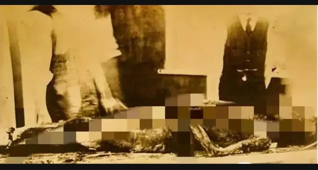 1936年，日本关东军，在秘密实验室里，进行着一项令人毛骨悚然的实验，这张模糊的