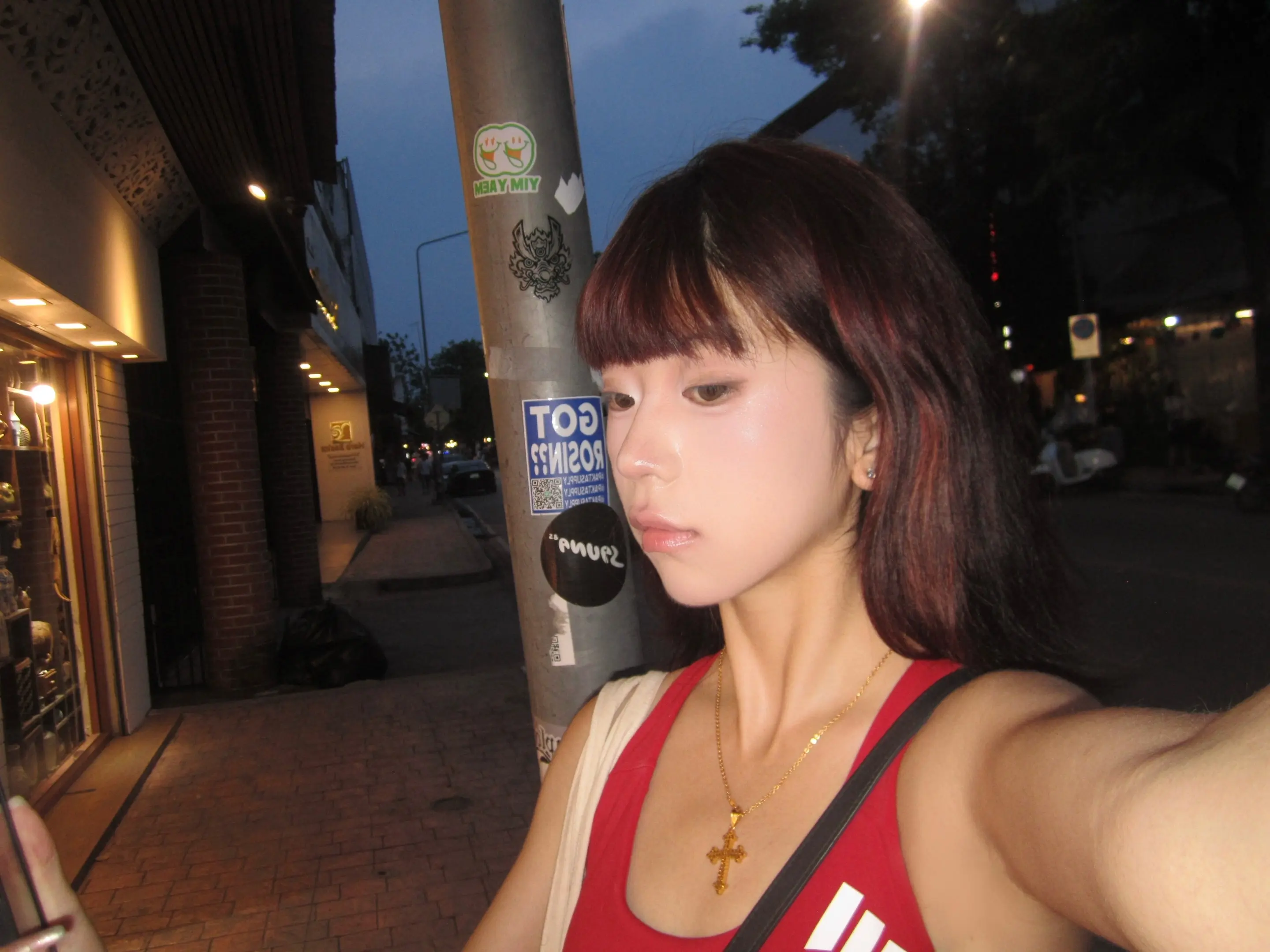 夕阳的绯红是离去的恋人初见时的脸色 2024 8-2025 5