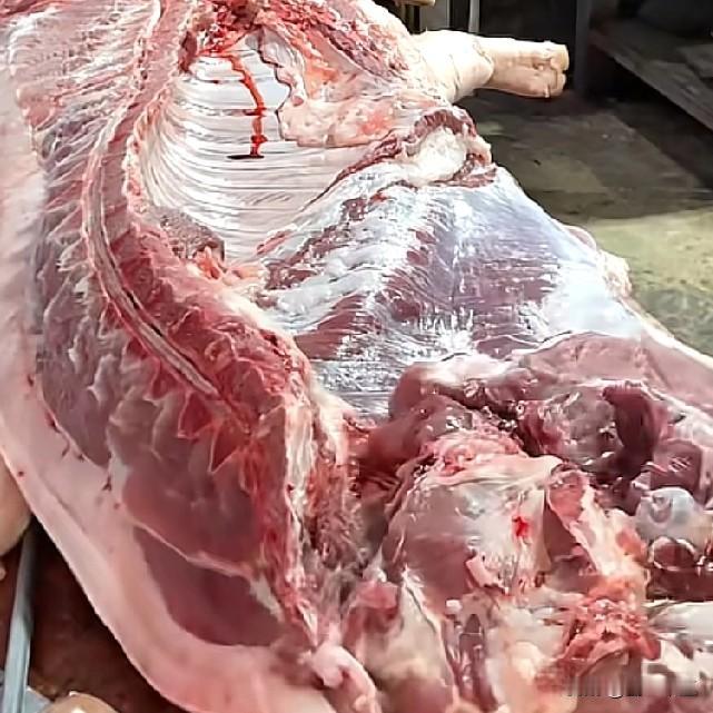 我们这儿，灌香肠的立刻多了起来，原来也是猪肉降了，头天十元左右，今天六元五都可以