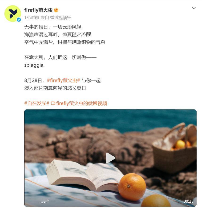 firefly萤火虫速度提起来了，第6款特别版车型明天上市，现在还没有图片，看预