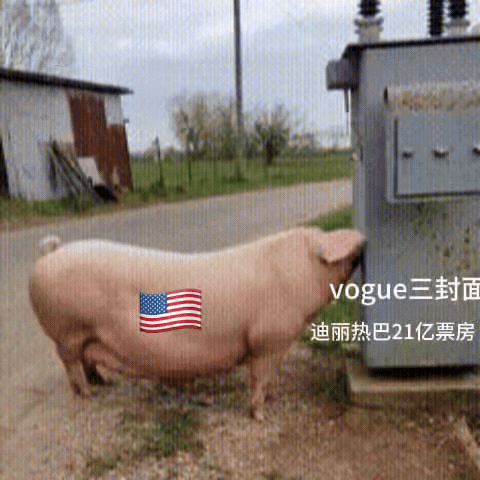 刘亦菲 迪丽热巴如图 