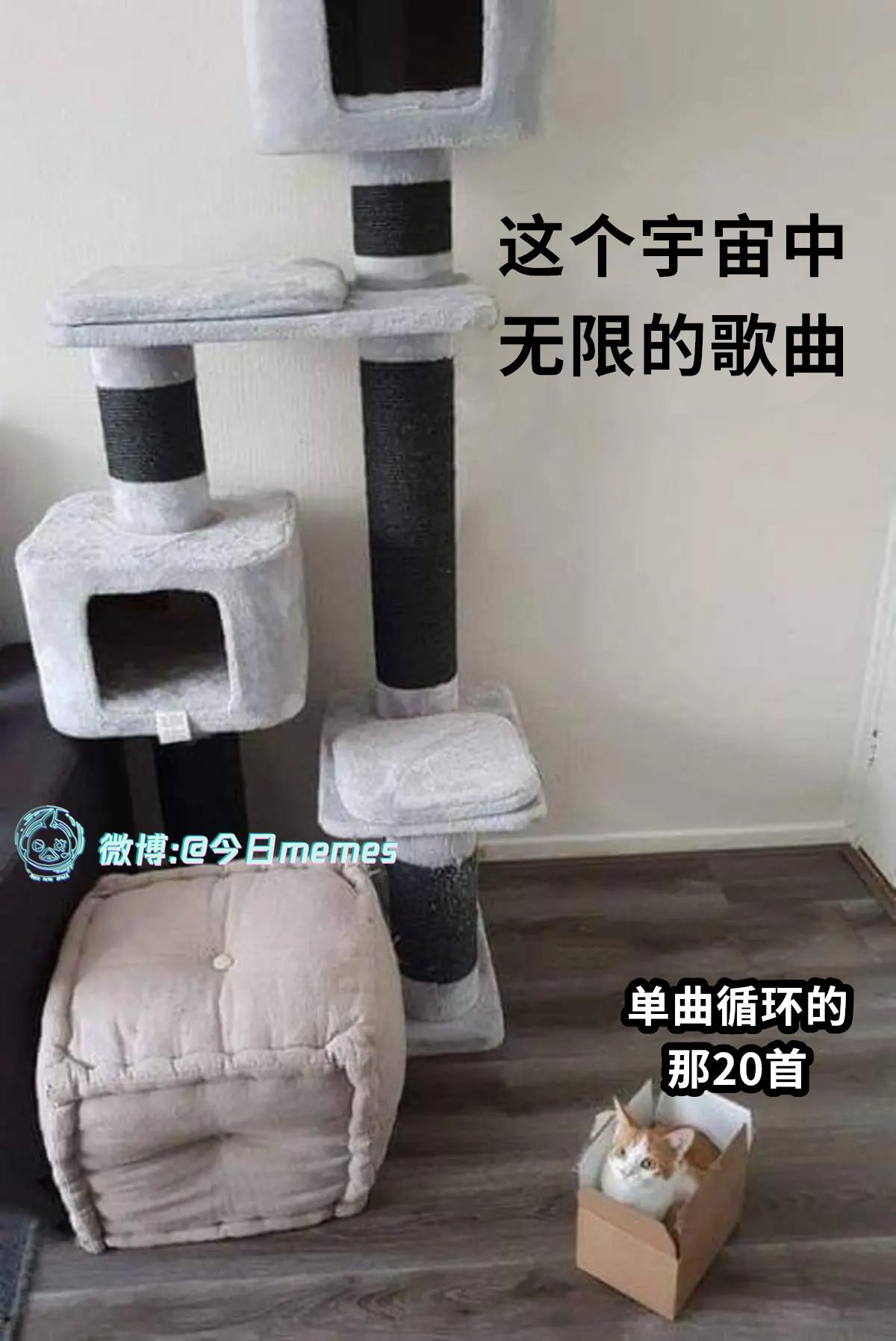 一瓢一瓢（9gag）今日meme 今日memes