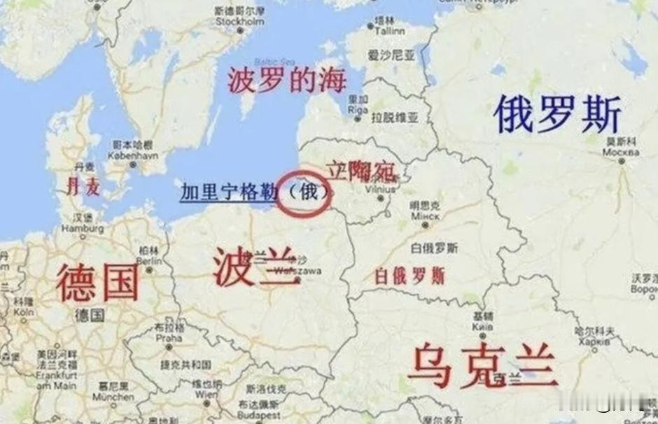 已成为“惊弓之鸟”的波兰，或许会成为新的导火索！近期，波兰的举动极为激进，火药味