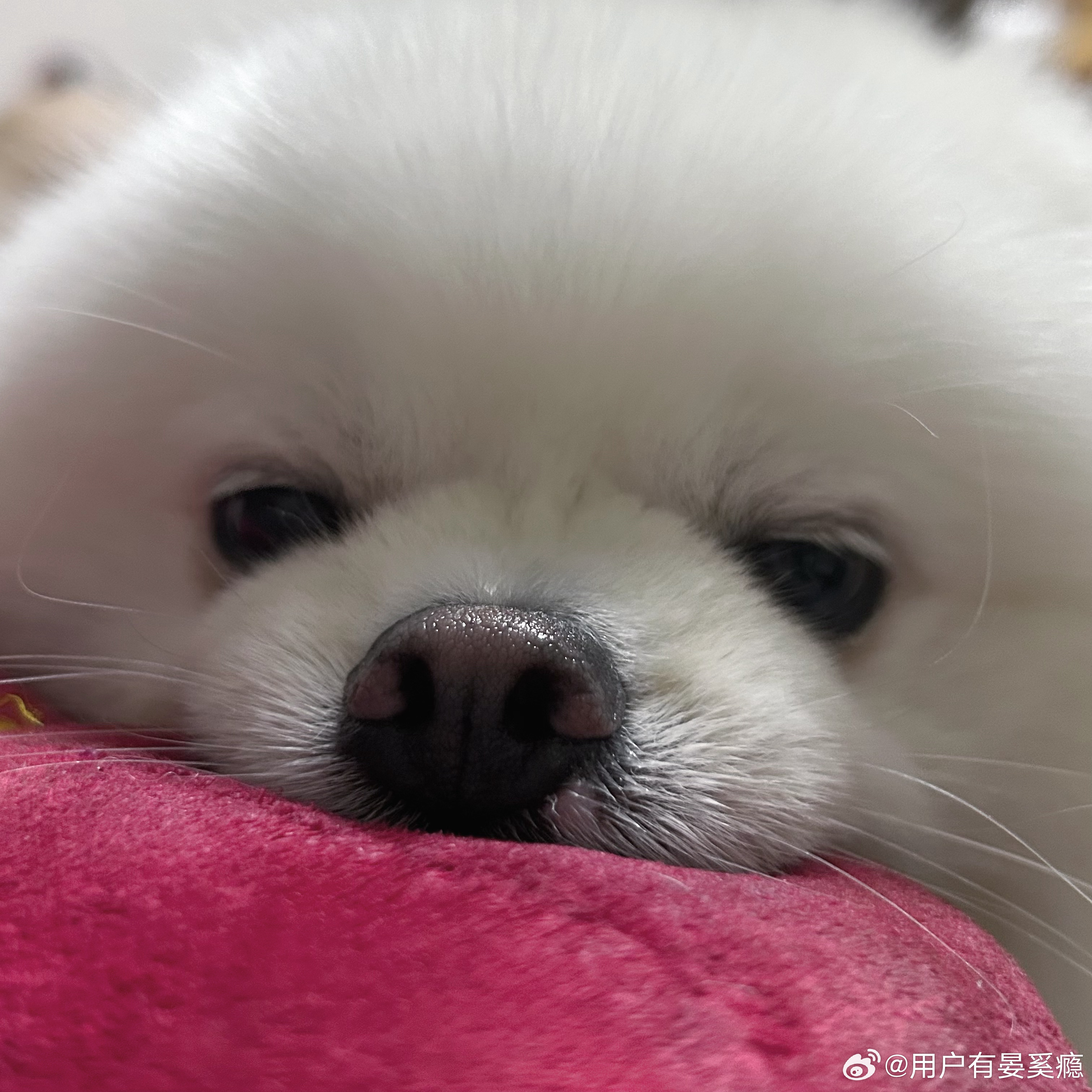 凑勾勾快奏凯 鬼迷日眼的 