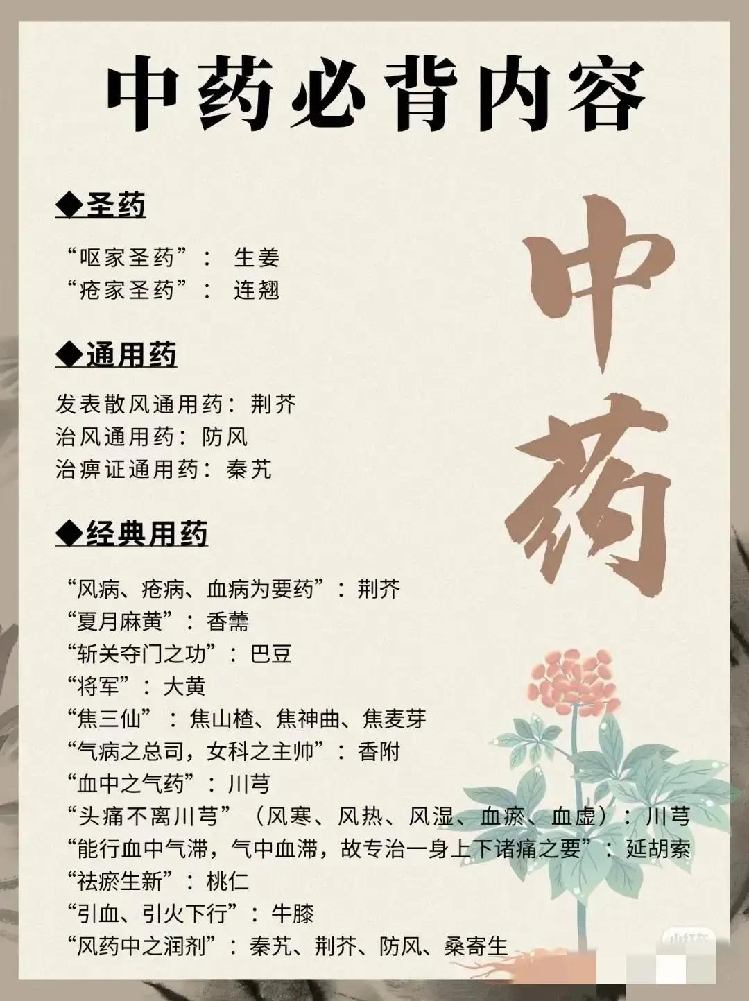 你知道吗？在中药的世界里，有些药材名字奇特，让人一听就印象深刻。今天，就让我们一