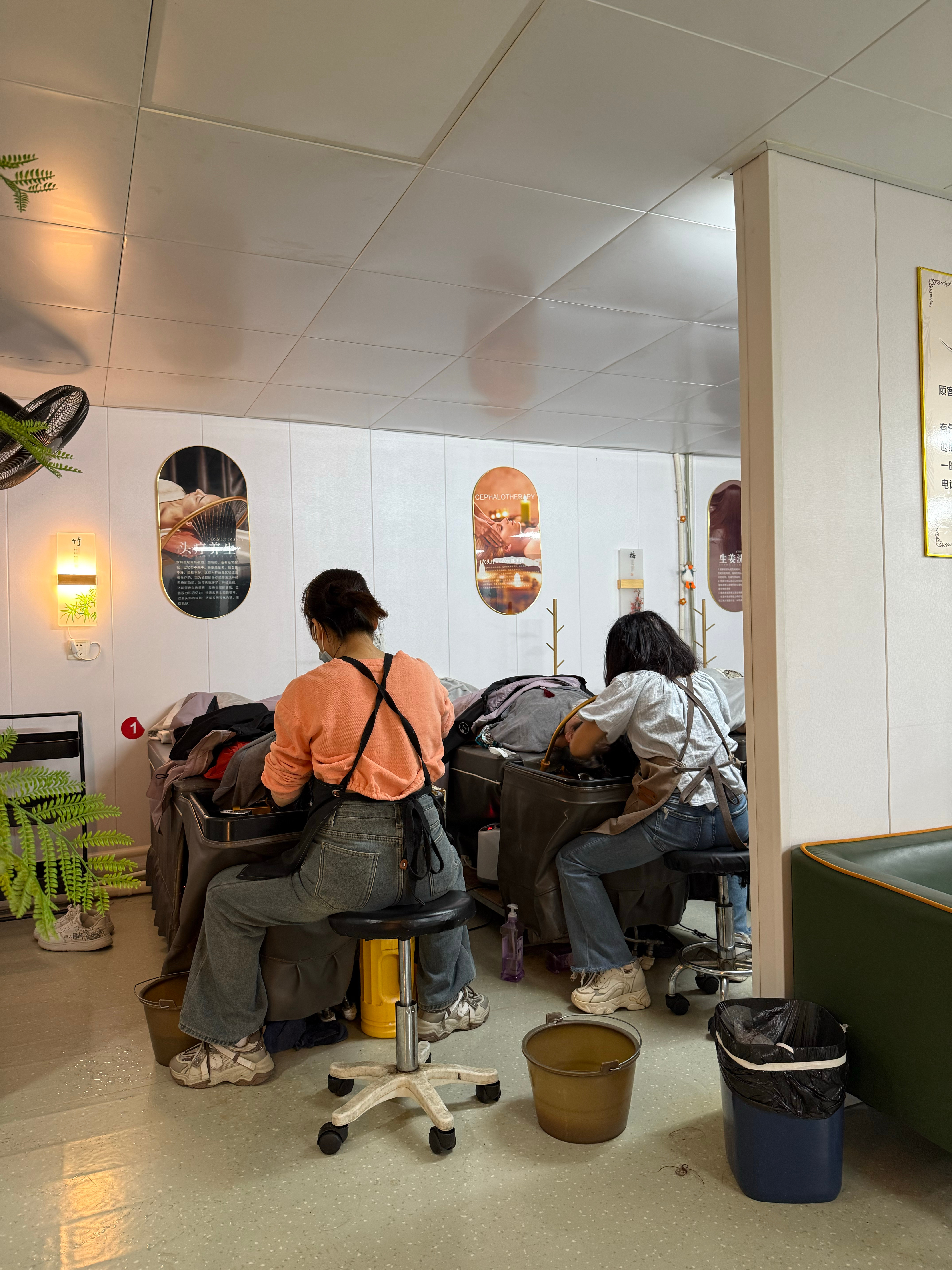 来柳州体验茶麸洗头这里的甘蔗8块钱一根真便宜啊！ 