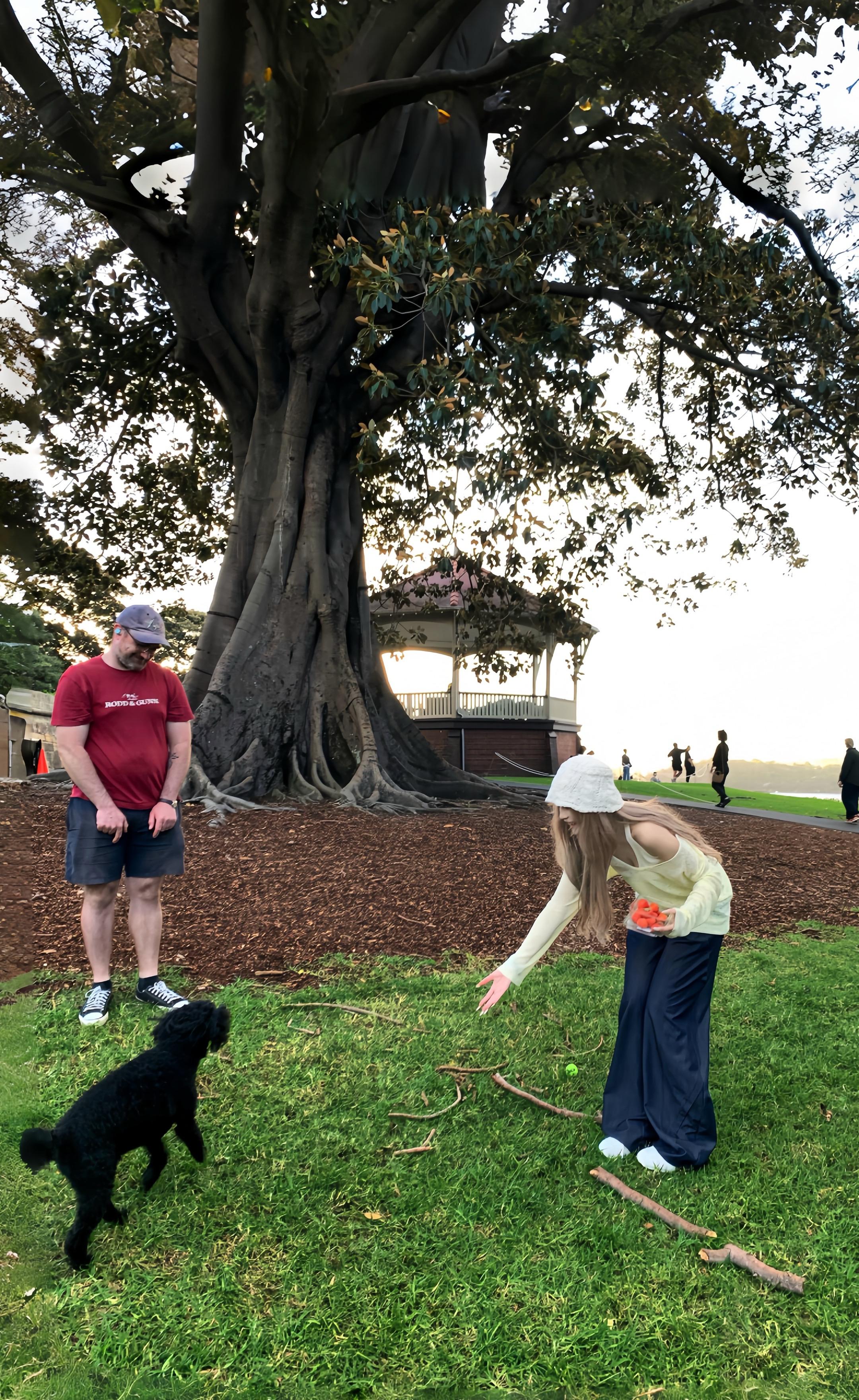 那天我又遇到了可爱的小狗 但我不想告诉你了