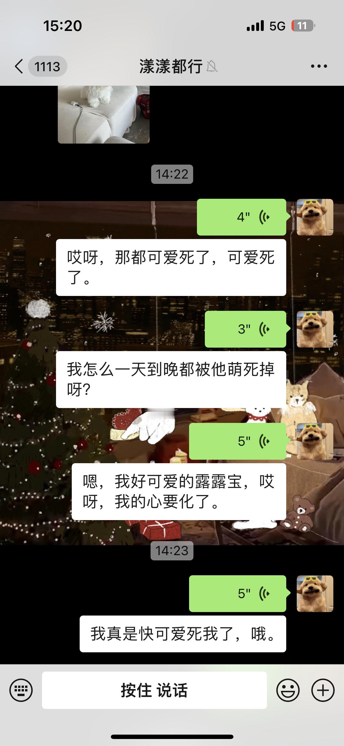 人在hk心在杭^_^为什么狗狗那么可爱小豆屎眼 