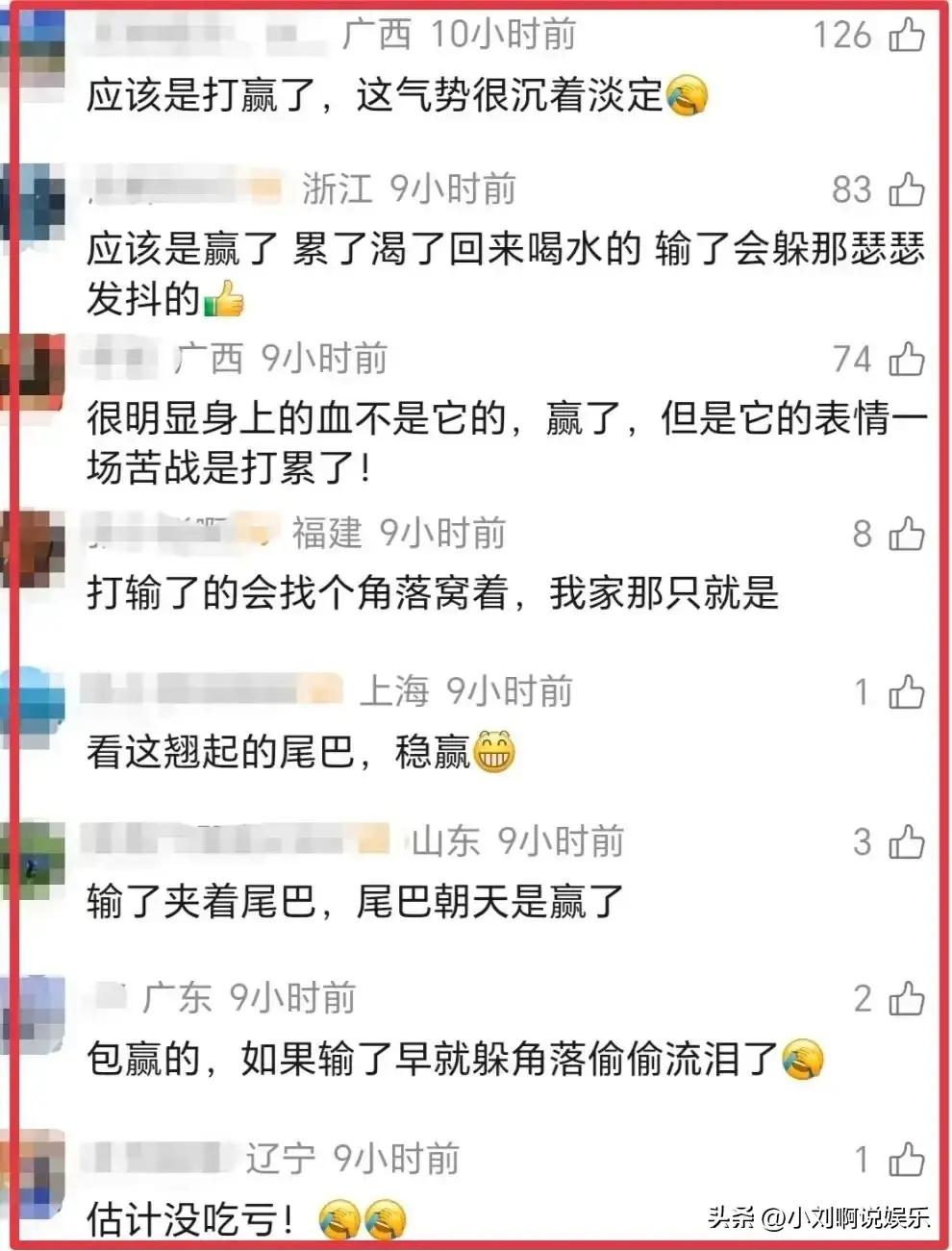 一段来自广西的日常短视频，在网络上彻底走红。没有狗血的剧情，没有夸张的特效，就一