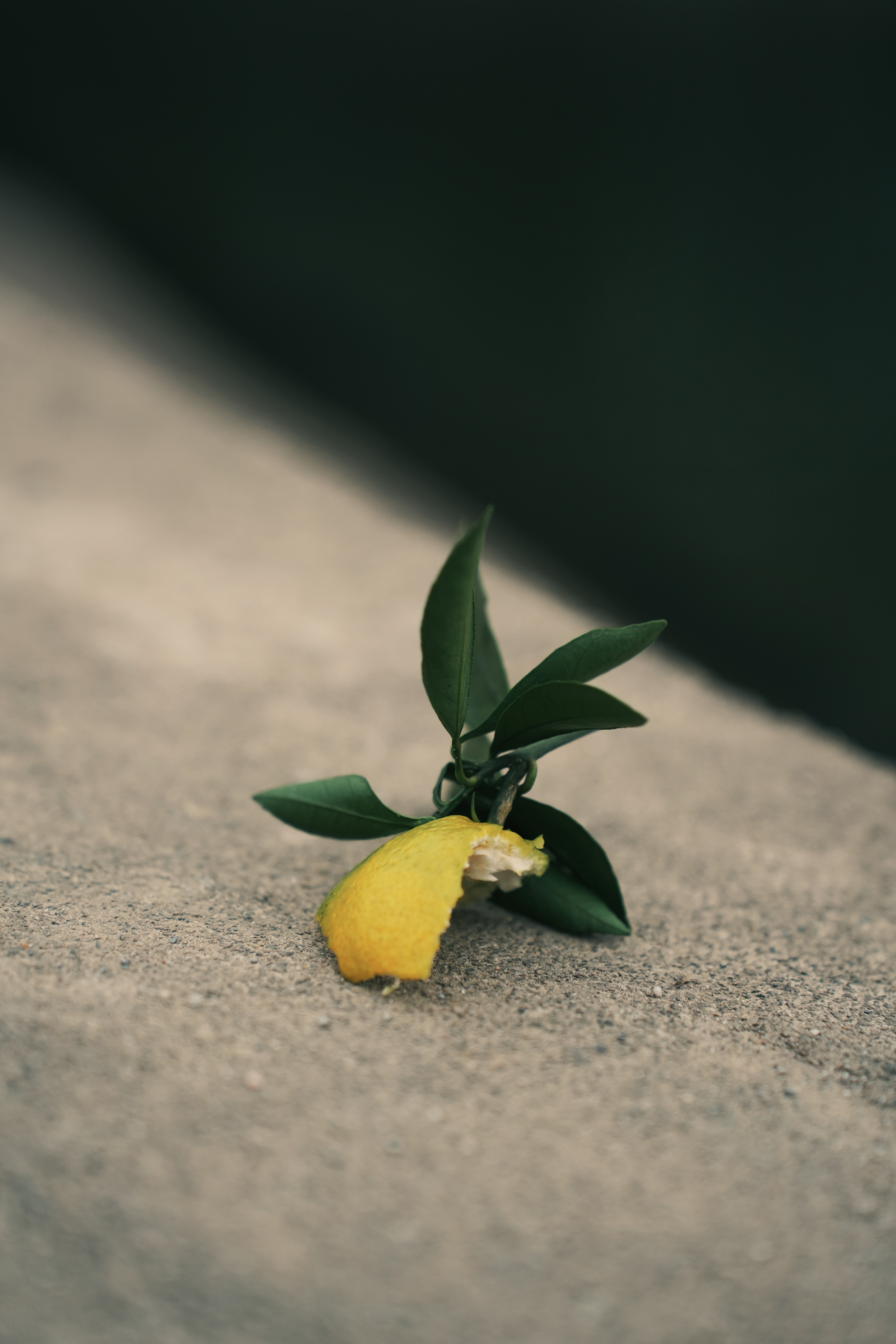 findgreencr.宝藏摄影博主推荐计划