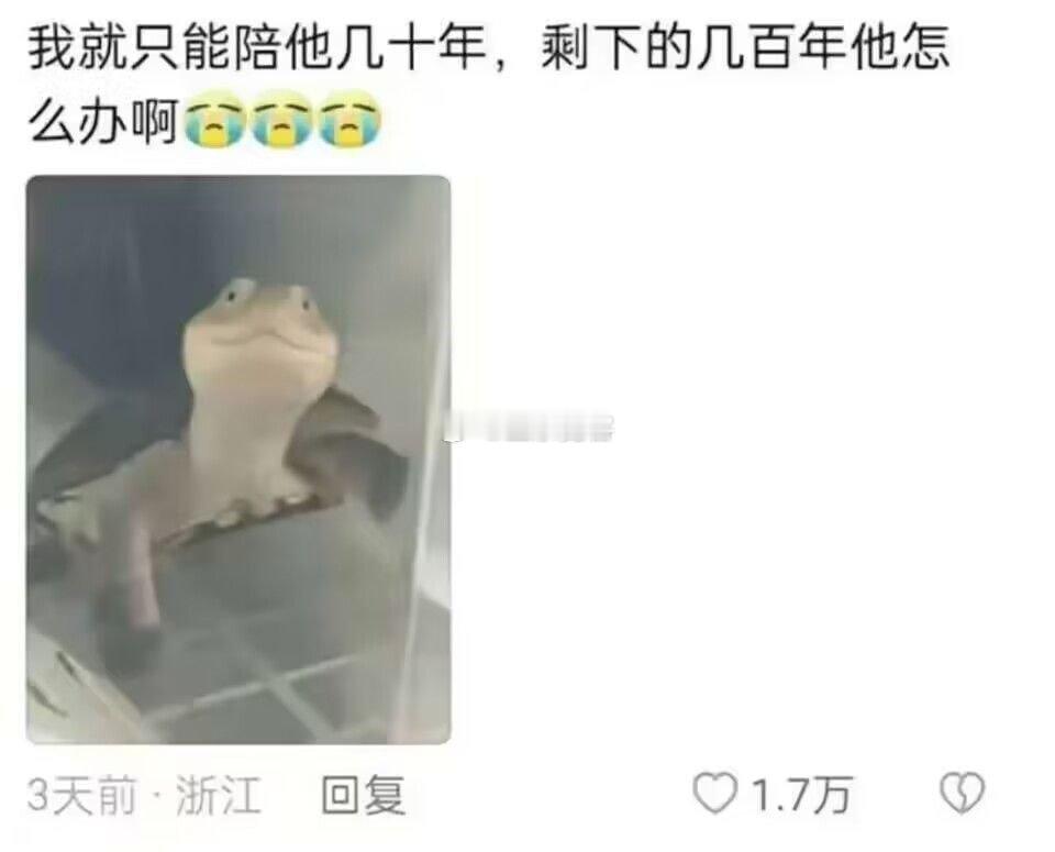 乌龟：你跟你爷爷一样多愁善感 