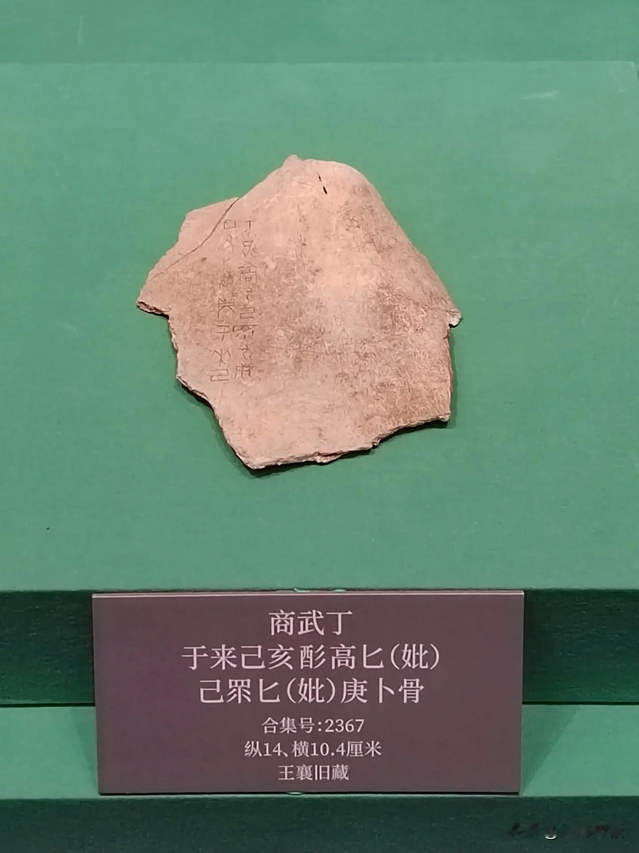 王入大邑商（三）
——天津博物馆藏武丁卜辞探亲展