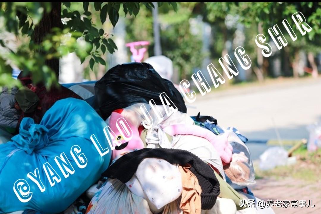 这边刚扔，那边就捡！海南离岛季真实一幕
 
垃圾箱旁边，厚厚的被褥、过冬的秋衣、