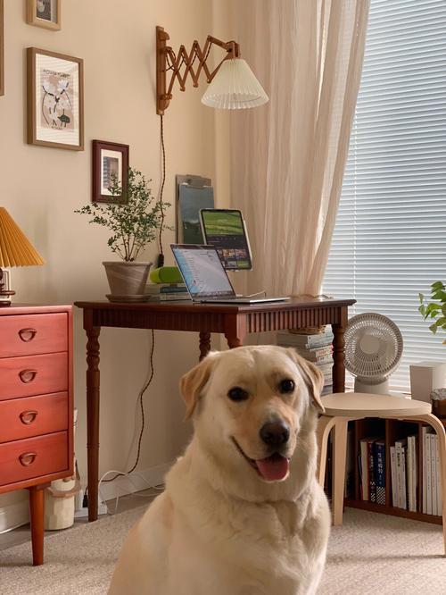 🐾 从前：躲月饼渣｜现在：亮电子证
地铁里的文明广告，比月饼更甜
文明养犬