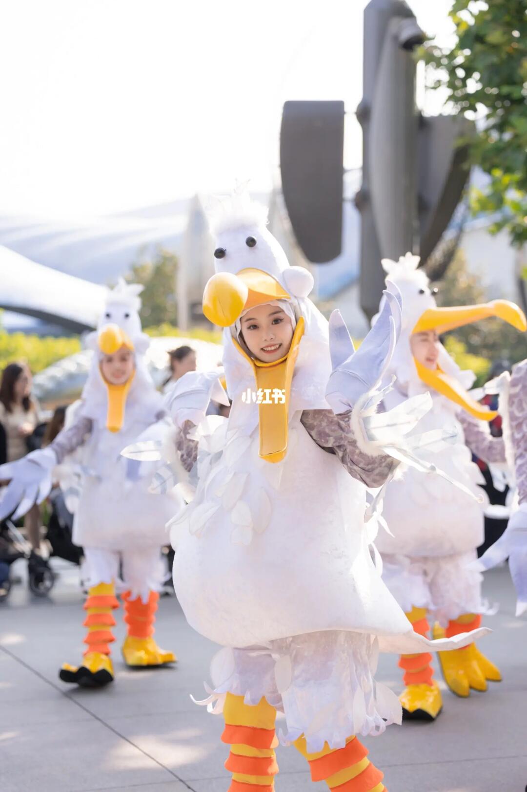 这一刻 为你停留🕊️