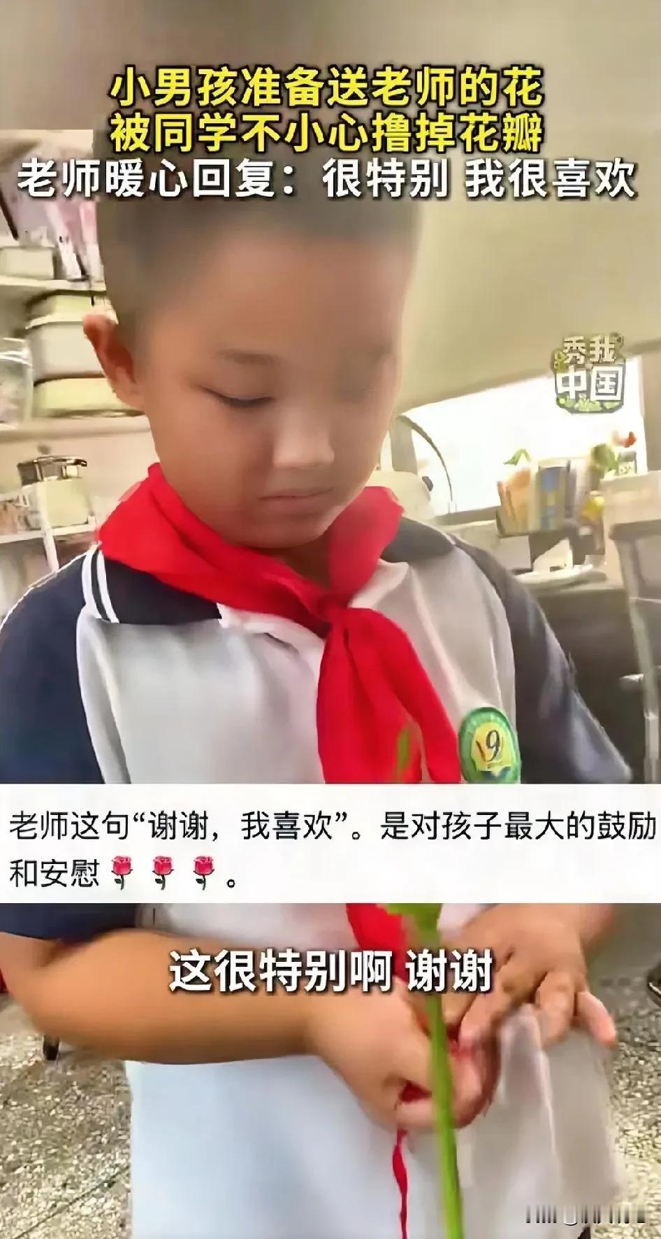 我以为校园里最珍贵的礼物是精心包装的鲜花贺卡，没想到一朵被撸秃了花瓣的残枝，却让