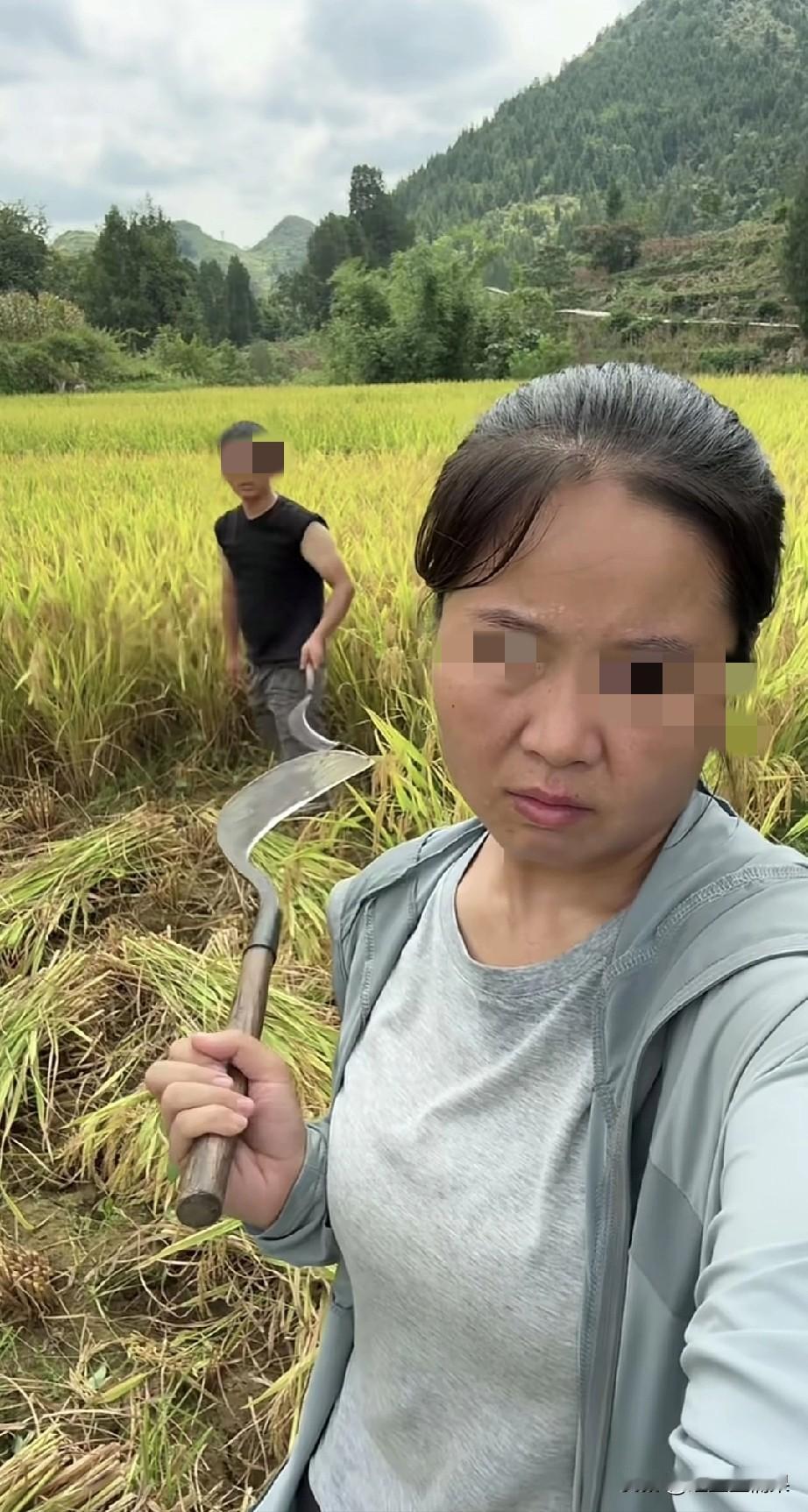 现在农村怎么还有这种人工收割水稻的，不说收割机了，怎么样也是柴油机带动的打谷机呀