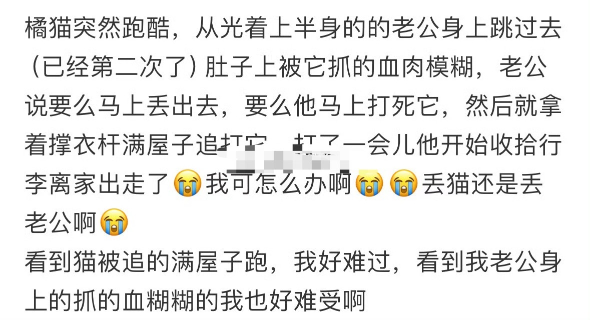 丢猫还是丢老公啊？[傻眼] ​​​