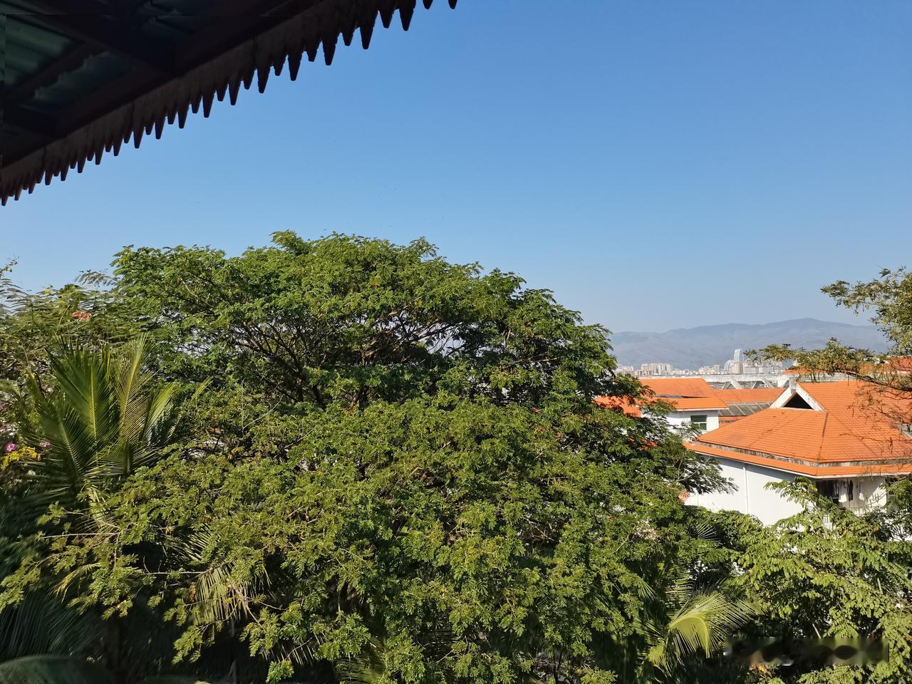 你来西双版纳旅游过吗第一次来西双版纳，直接被这里的天气狠狠拿捏了！北方都裹着厚棉